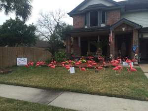 FB_IMG_1456932320781